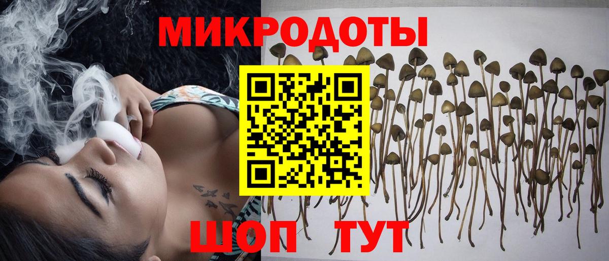 Коломна  Галлюциногенные грибы Psilocybe  Псилоцибиновые грибы прущие грибы  закладки  Вход с VPN 